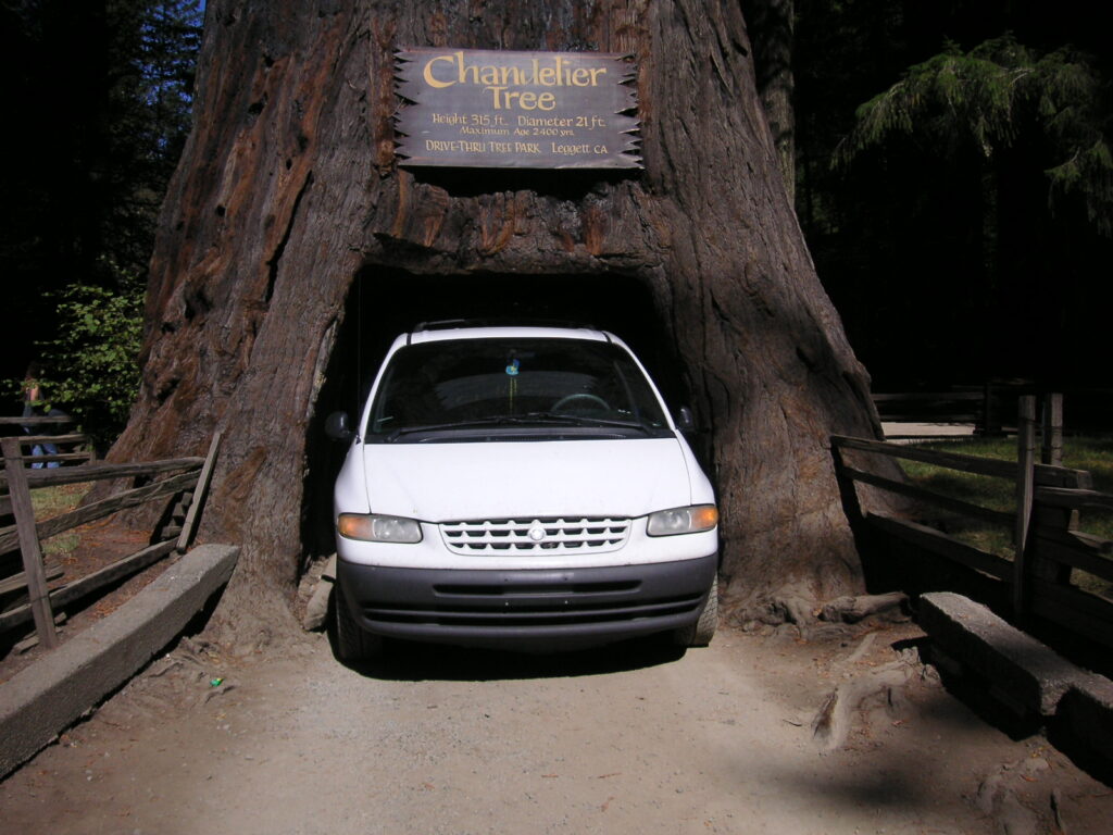 Chandelier Tree