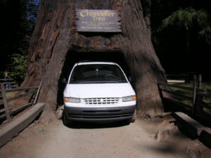 Chandelier Tree