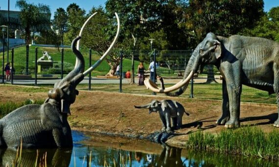 La Brea Tar Pits