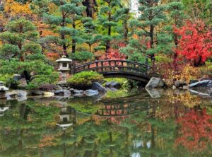 Anderson Japanese Gardens