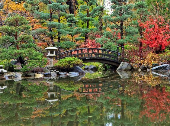 Anderson Japanese Gardens