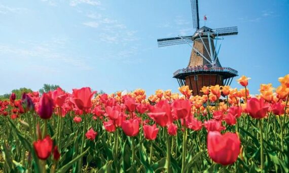 windmill island gardens