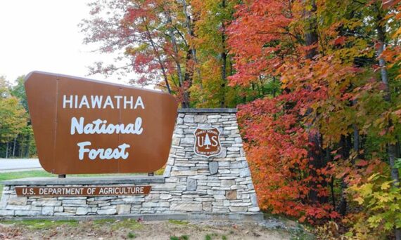 Hiawatha National Forest