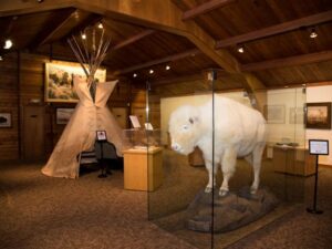 The National Buffalo Museum and bison herd