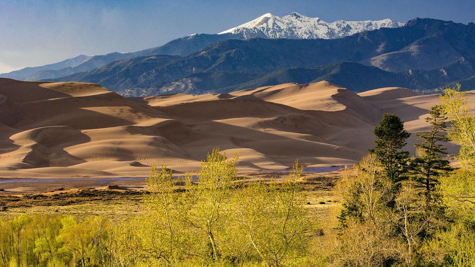 Great Sand Dunes National Park and Preserve