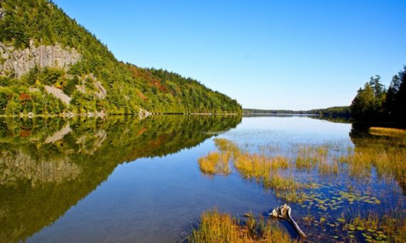 Aroostook State Park