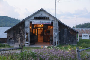 The Museum of Everyday Life