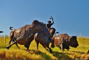 Tatanka: Story of the Bison